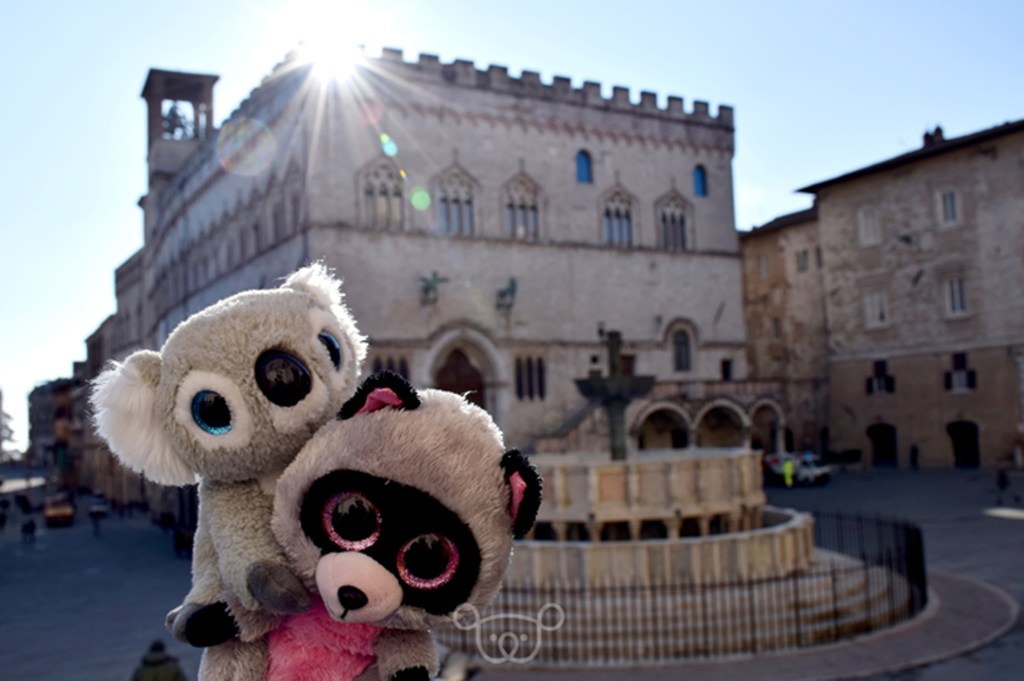 Viaje koali aventura blog