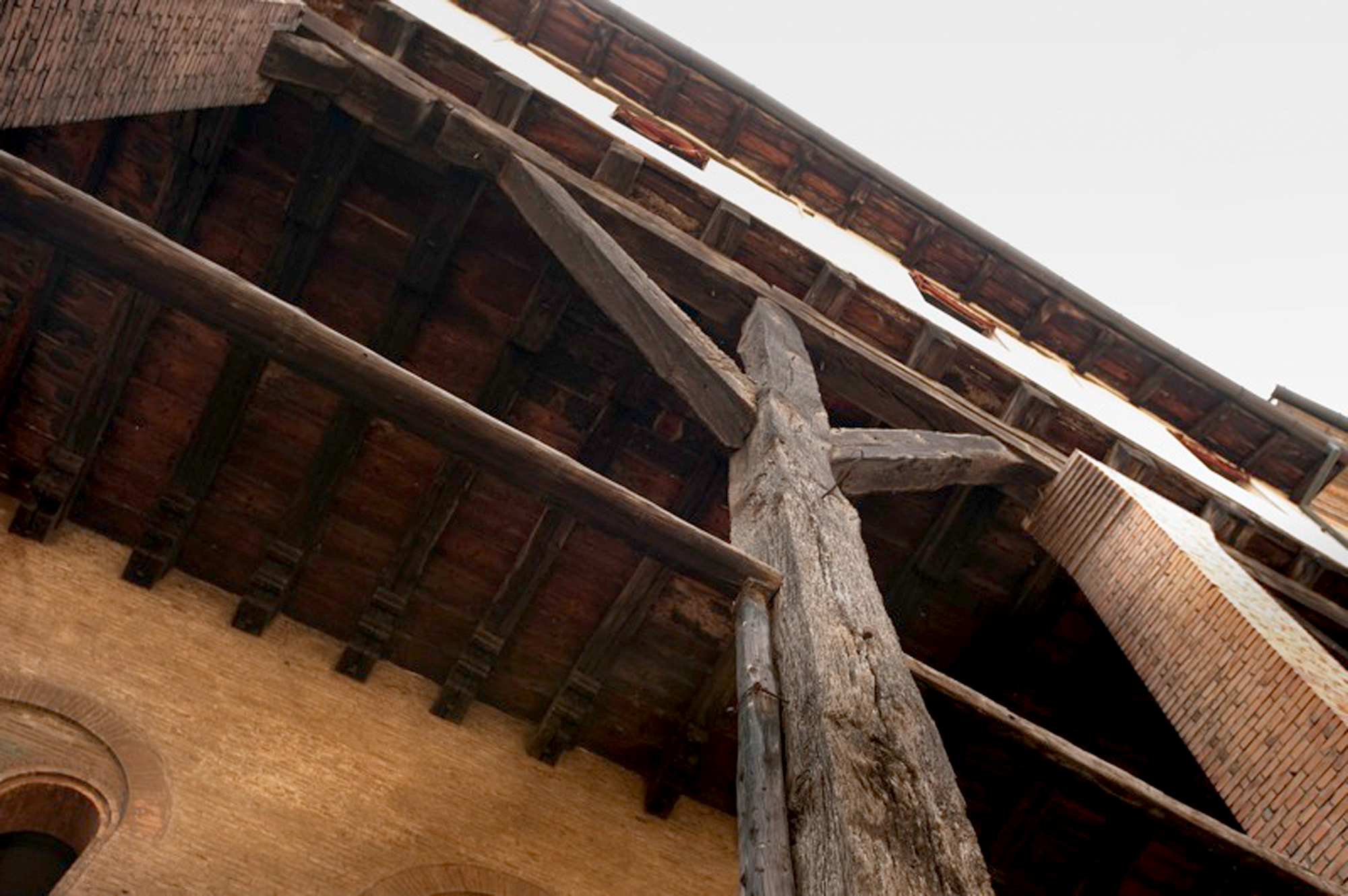 Tres flechas Bolonia