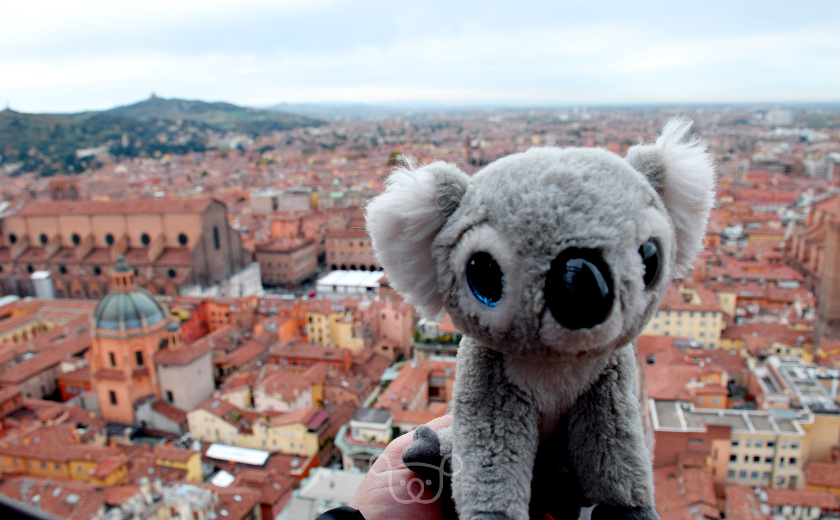 Torre Asinelli Bolonia