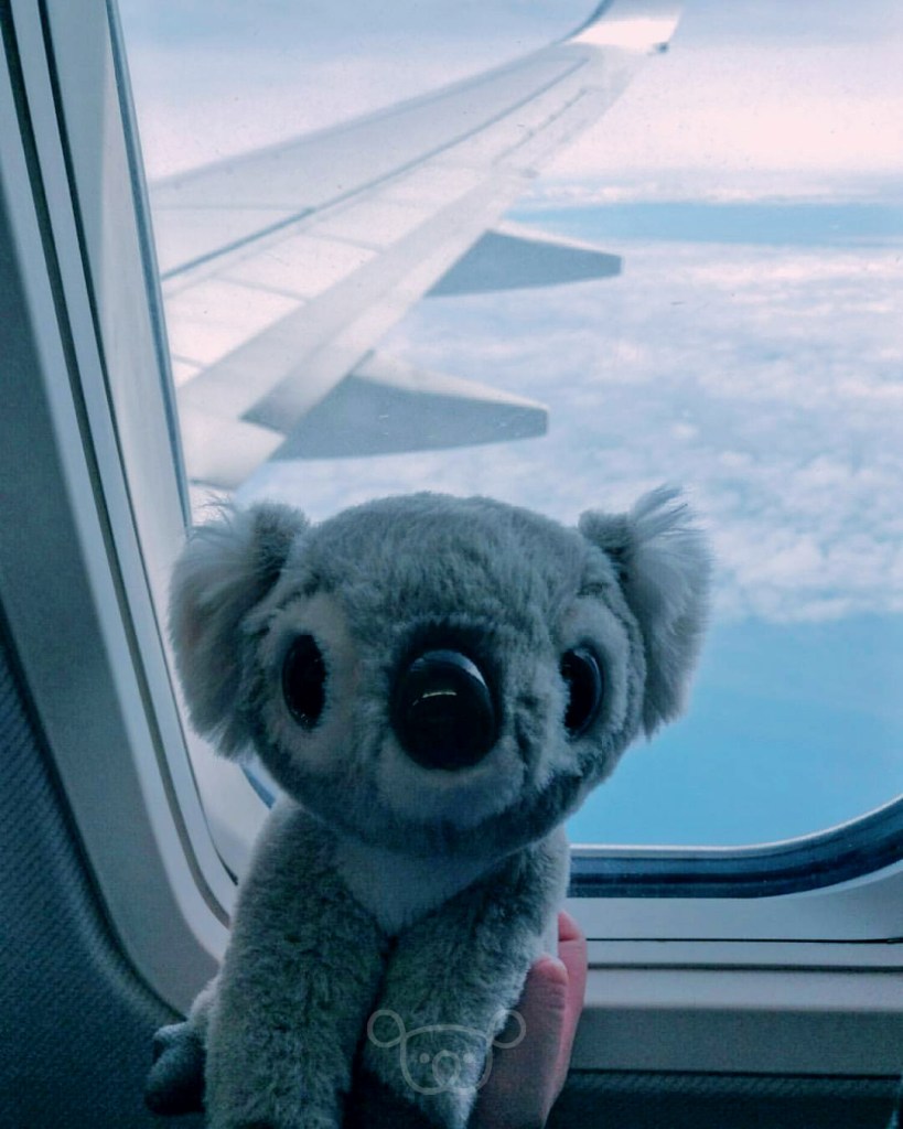 Viaje Koali aventura blog