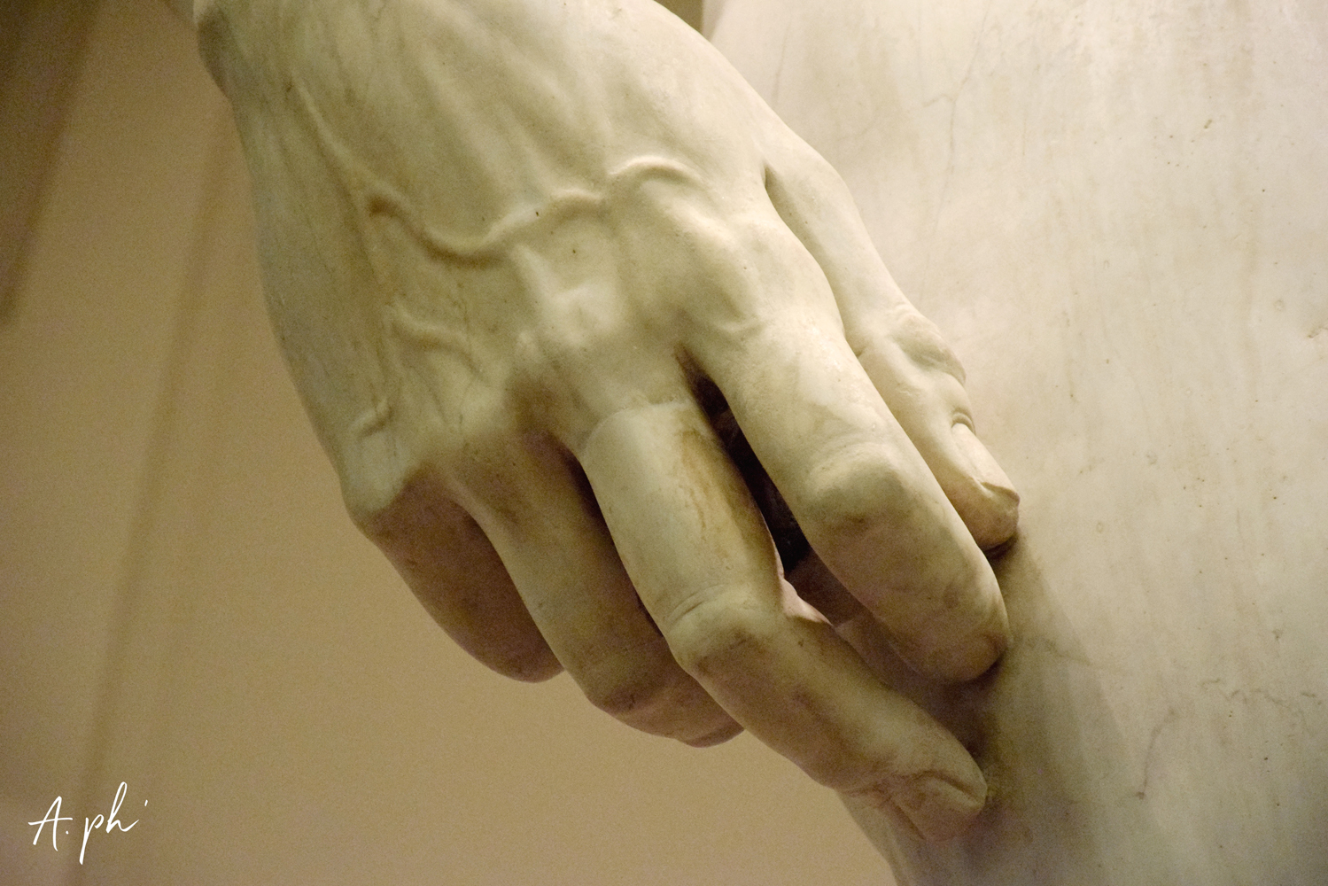 David Miguel Ángel venas