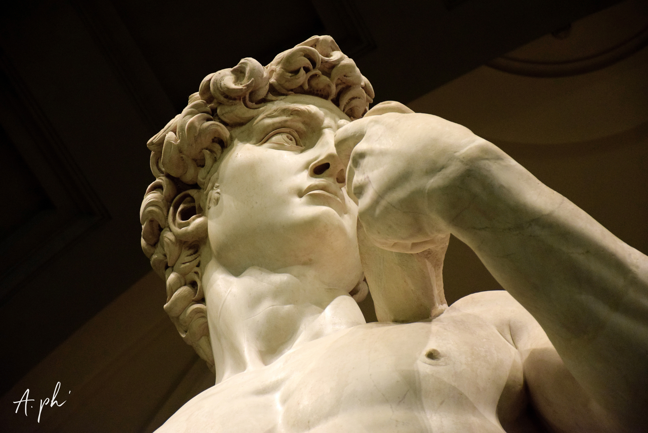 David Miguel Ángel mirada